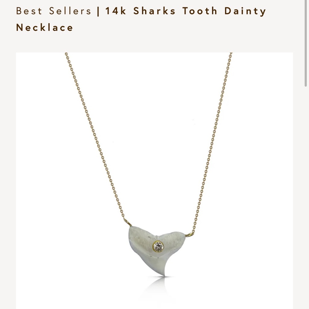 14k Gold Shark Tooth Necklace